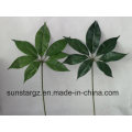 Artificial Plant Schefflera Leaf for Home Decoration (49192)